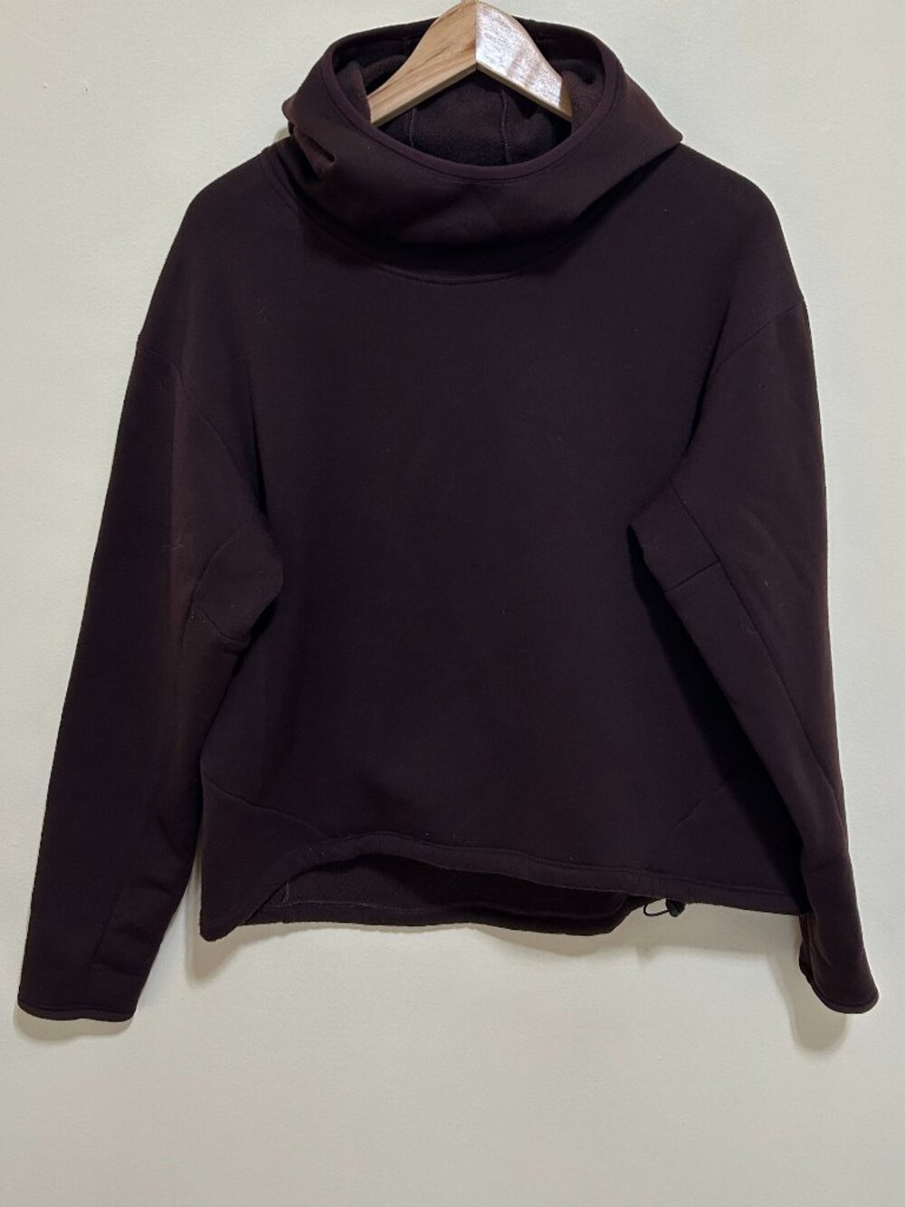 Arc'teryx Selenite Hoodie Brown Womens Size M